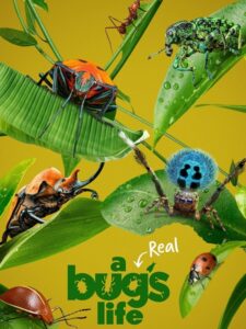 مشاهدة مسلسل A Real Bug’s Life الموسم الاول الحلقة 5 مترجمة