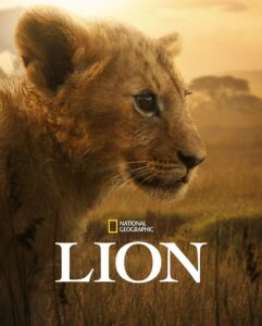 مشاهدة مسلسل Lion الحلقة 1 مترجمة